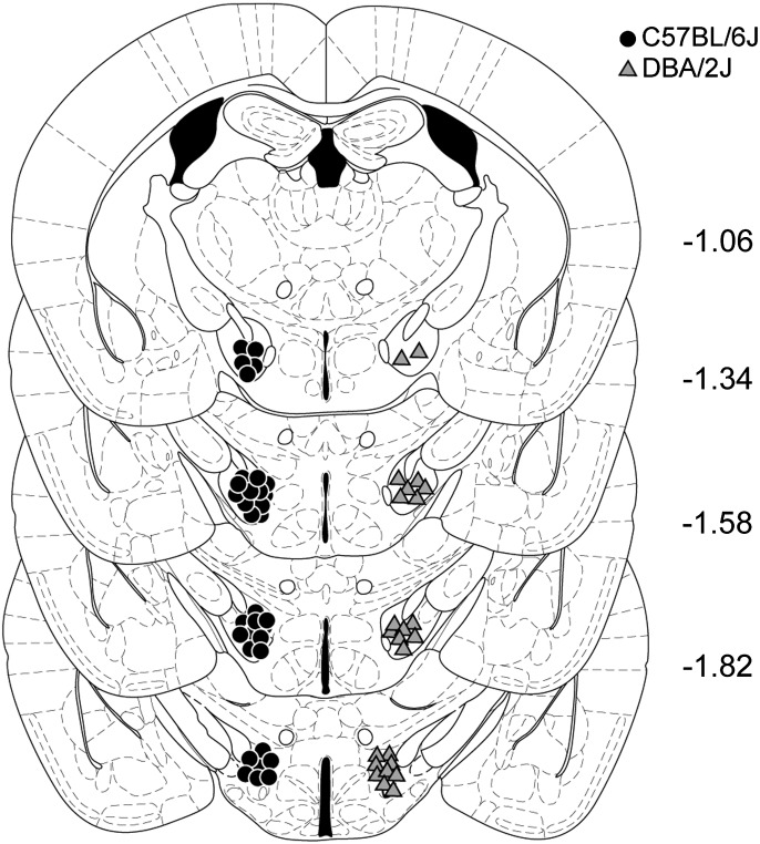 Fig. 2.