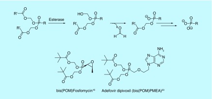 Figure 3. 