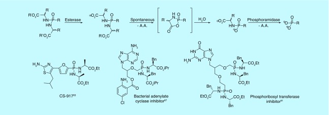 Figure 10. 