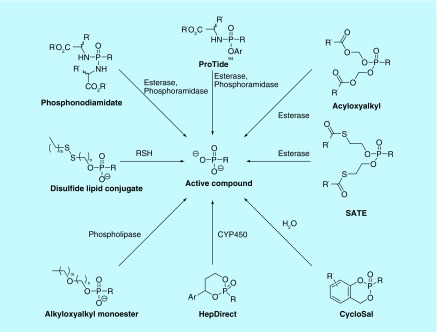 Figure 2. 