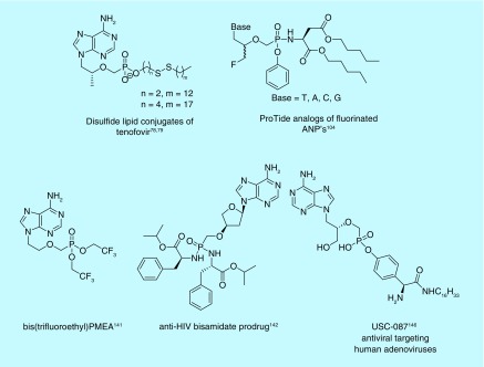 Figure 14. 