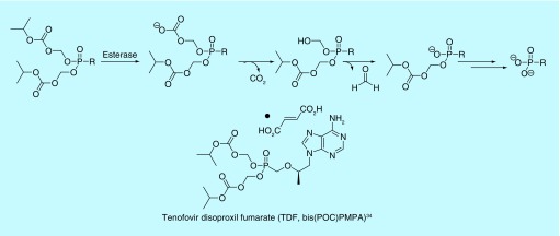 Figure 4. 