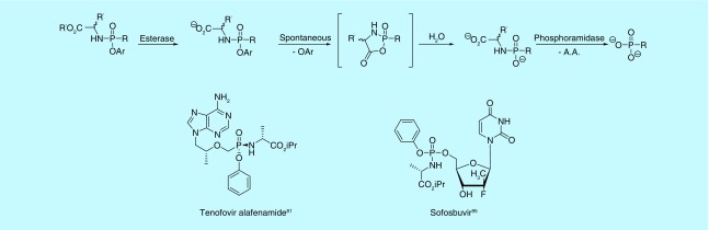 Figure 11. 