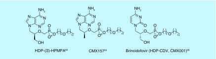 Figure 9. 