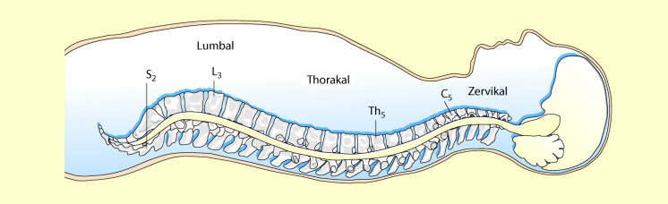 graphic file with name 6376_9_De_13_Fig2_HTML.jpg