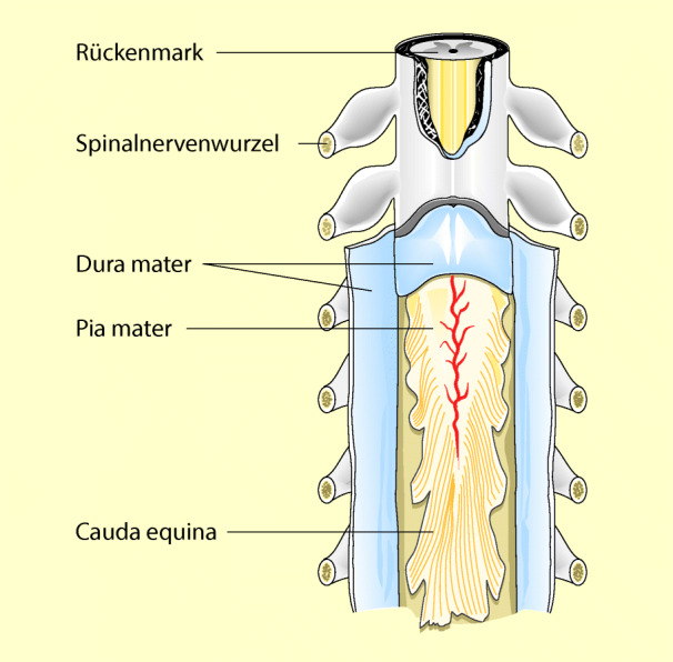 graphic file with name 6376_9_De_13_Fig6_HTML.jpg