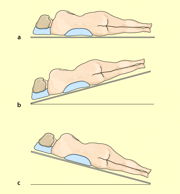 graphic file with name 6376_9_De_13_Fig15_HTML.jpg