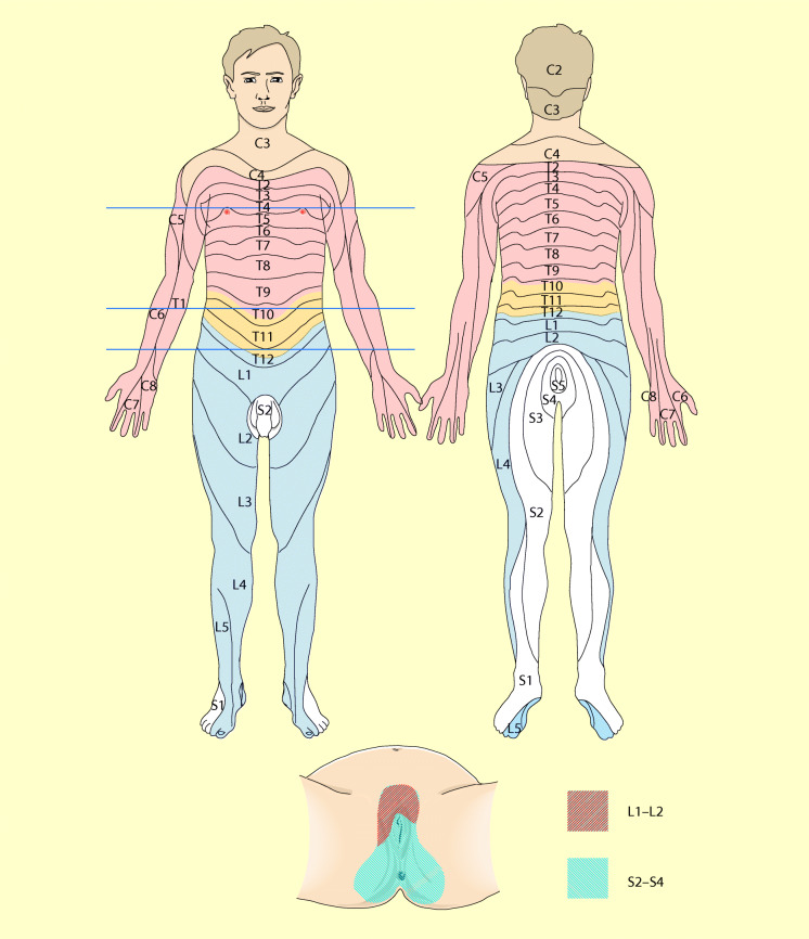 graphic file with name 6376_9_De_13_Fig7_HTML.jpg