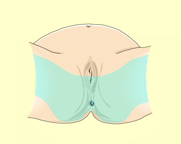 graphic file with name 6376_9_De_13_Fig17_HTML.jpg