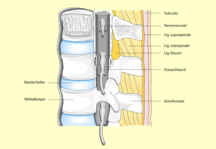 graphic file with name 6376_9_De_13_Fig4_HTML.jpg