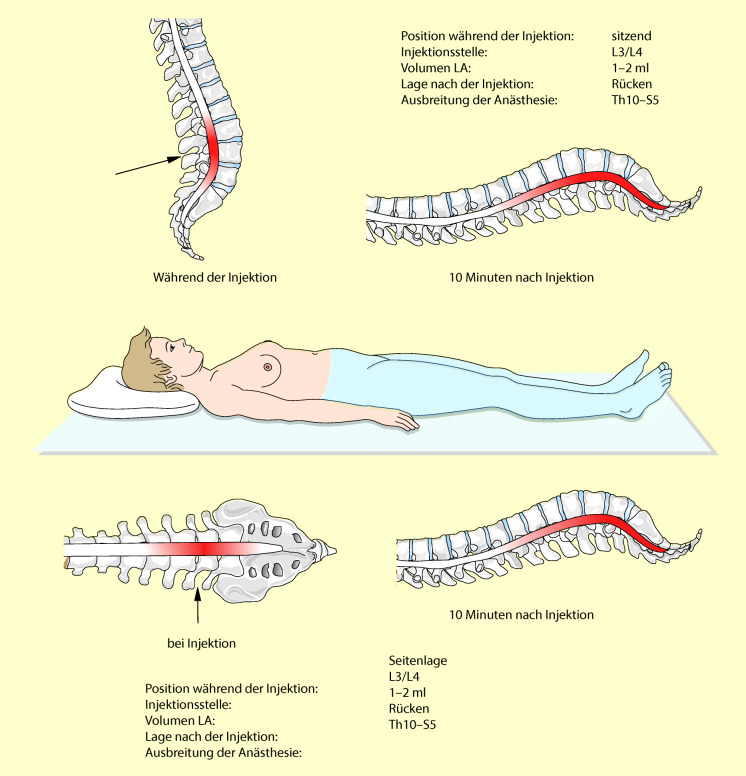 graphic file with name 6376_9_De_13_Fig16_HTML.jpg
