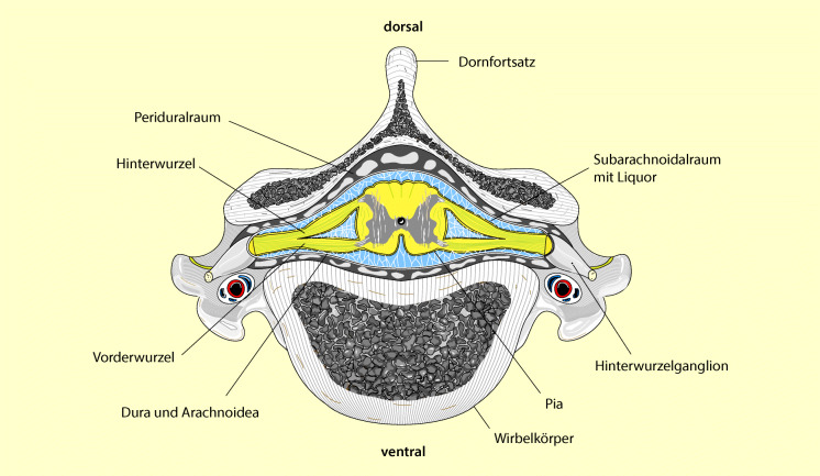 graphic file with name 6376_9_De_13_Fig5_HTML.jpg
