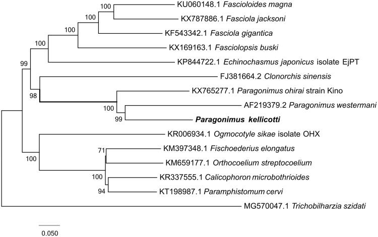 Figure 1.