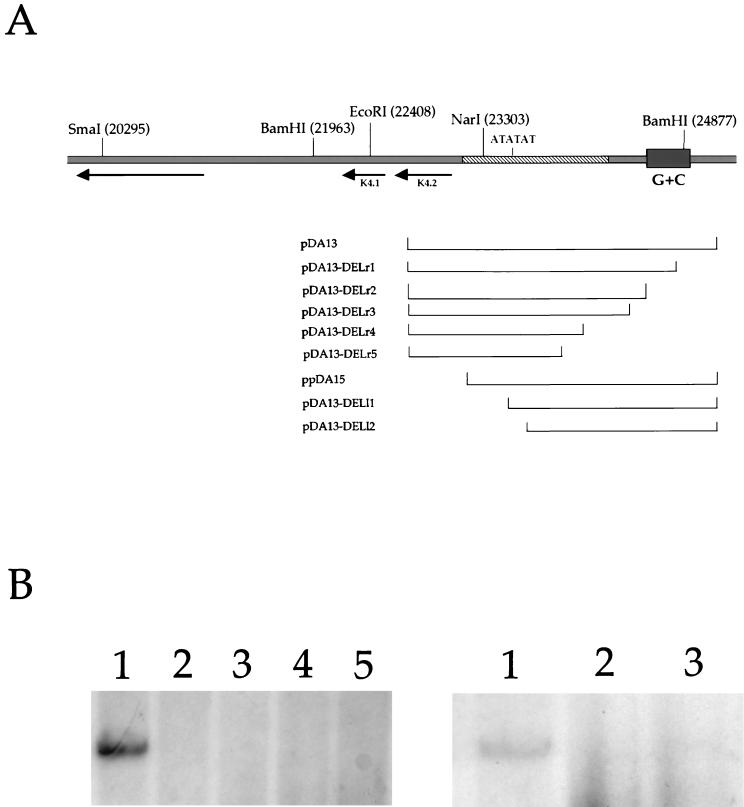 FIG. 3.