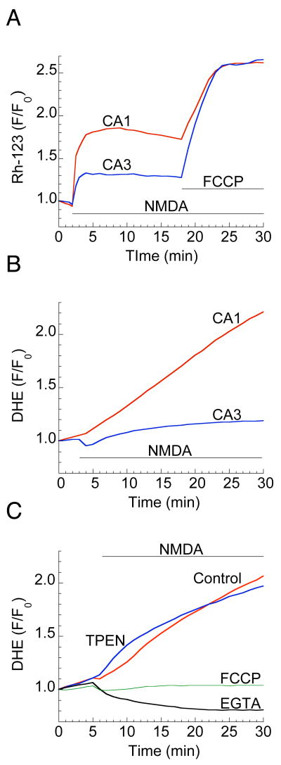 Figure 6