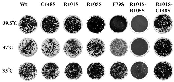 FIG. 4.