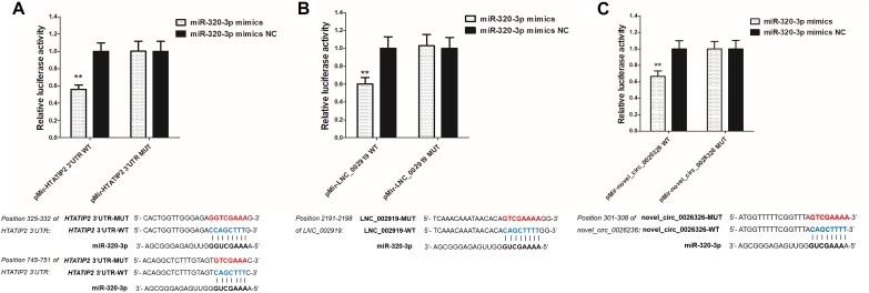 FIGURE 13