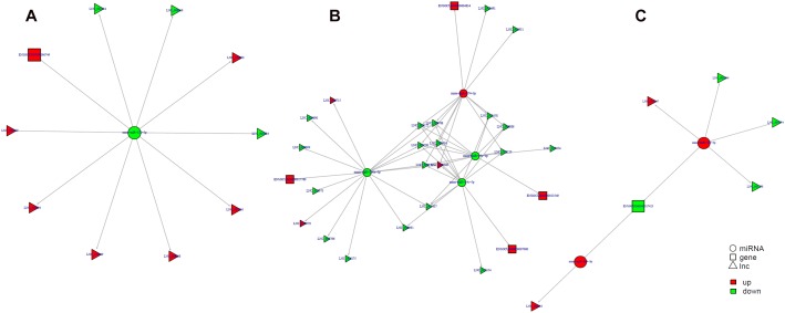 FIGURE 11