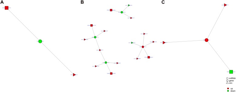 FIGURE 12