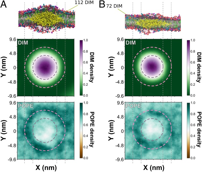 Fig. 4.