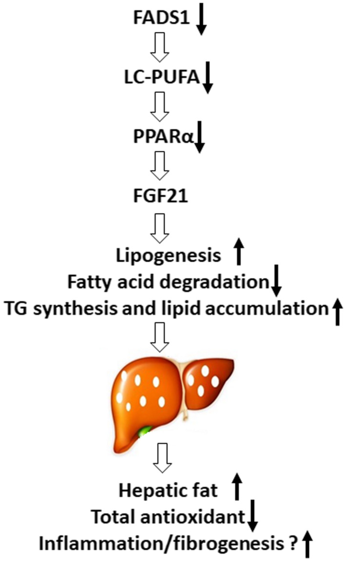 FIG. 9