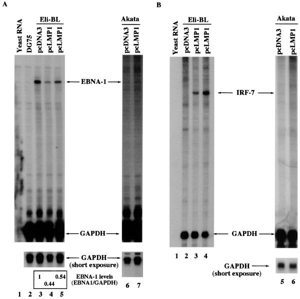 FIG. 5