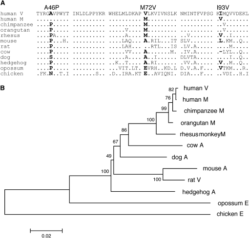 Figure 6.—