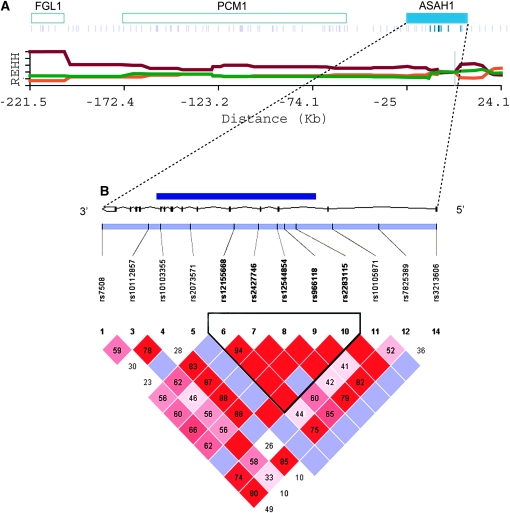 Figure 2.—