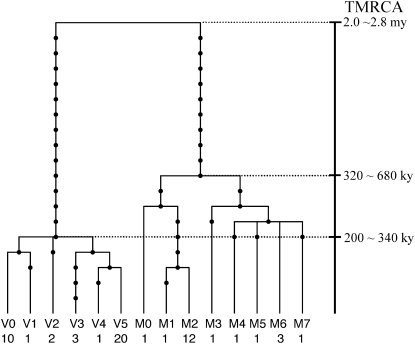 Figure 4.—