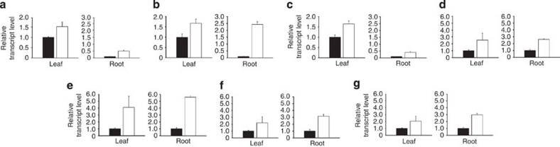 Figure 7