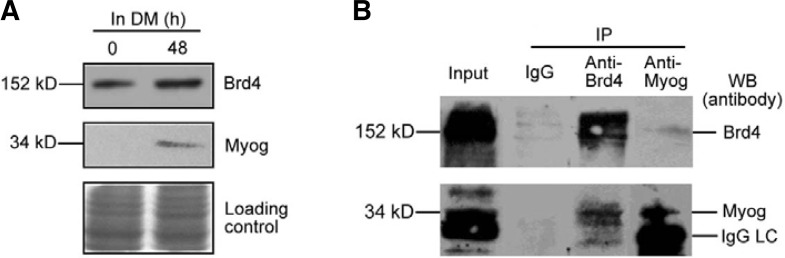 Fig. 8.