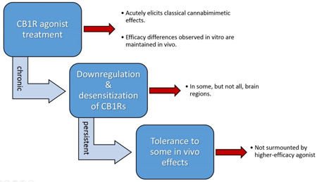 graphic file with name nihms726110f8.jpg