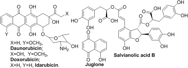 FIGURE 8