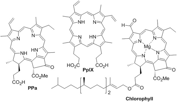 FIGURE 9