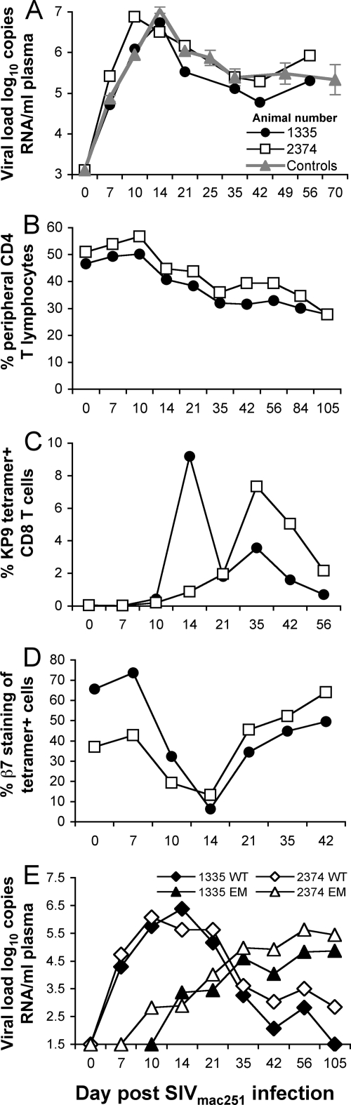 FIG. 5.