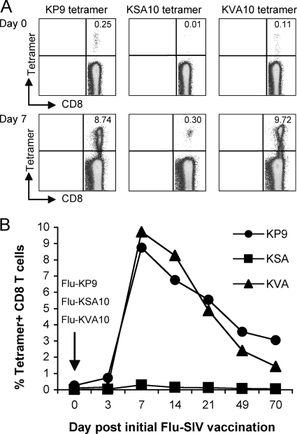 FIG. 6.