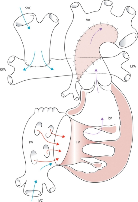 Fig. (9)