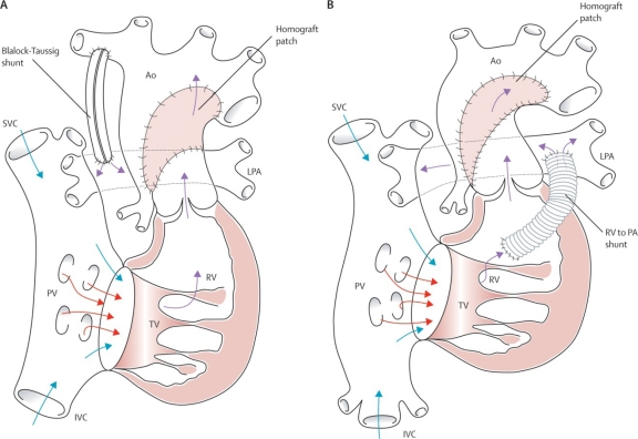 Fig. (8)