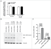 Figure 11.