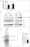 Figure 12.