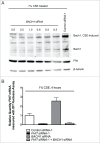 Figure 13.