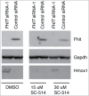 Figure 9.