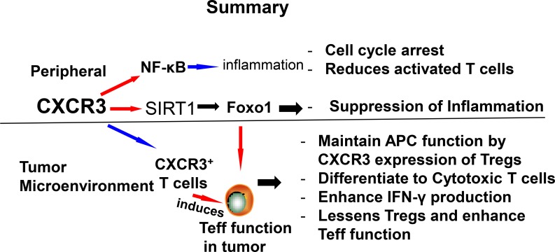 graphic file with name oncotarget-09-17928-g003.jpg