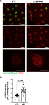 Figure 6—figure supplement 2.