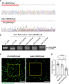 Figure 3—figure supplement 2.