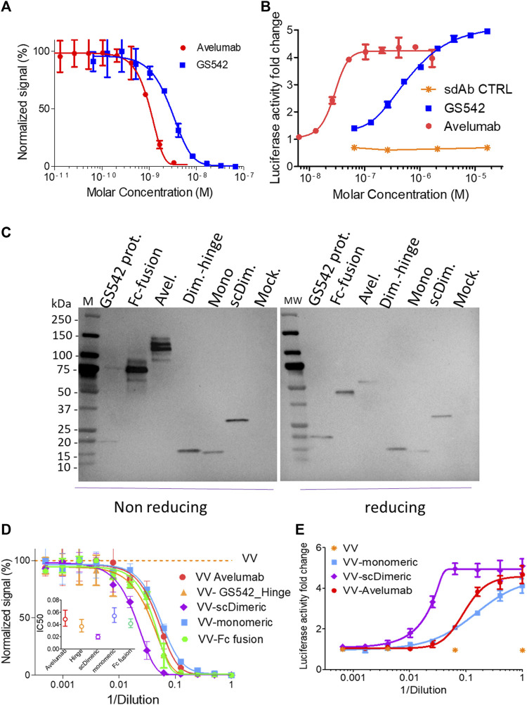 FIGURE 2