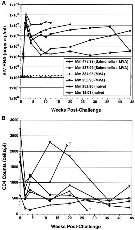 FIG. 6.