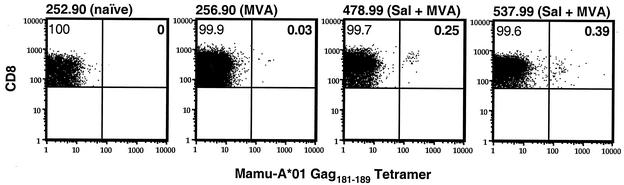 FIG. 5.