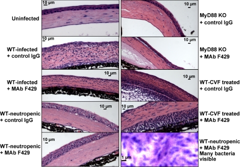 Figure 10.