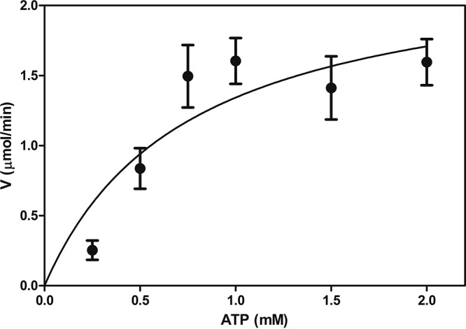 FIG 3